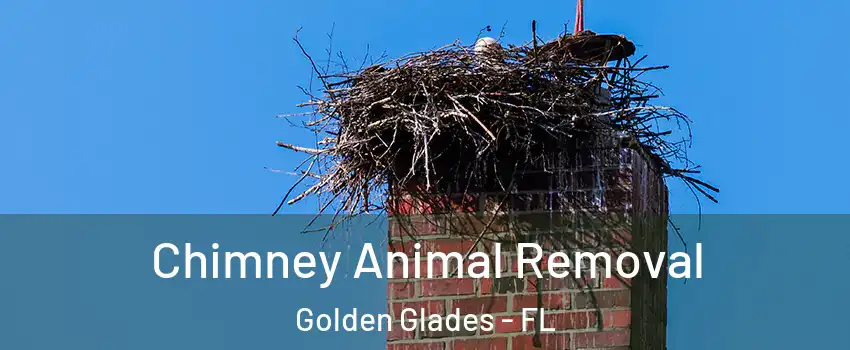 Chimney Animal Removal Golden Glades - FL