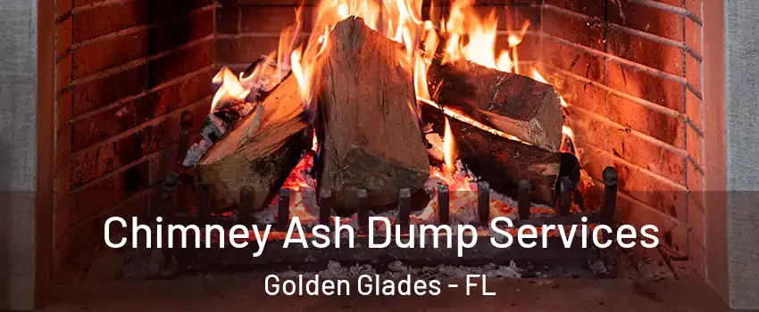  Chimney Ash Dump Services Golden Glades - FL