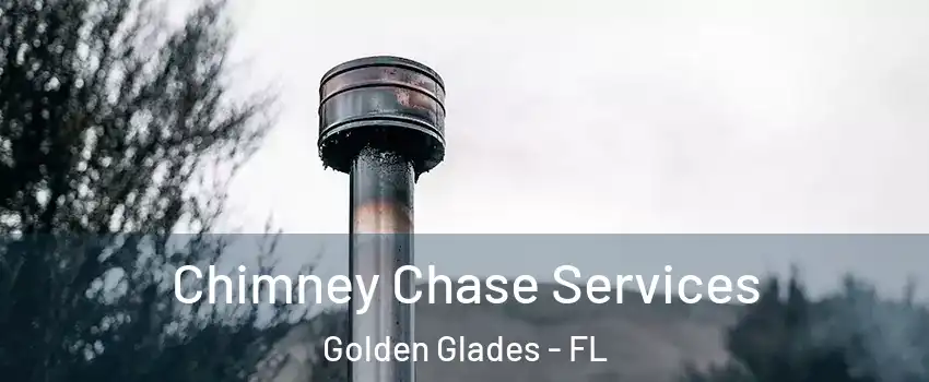  Chimney Chase Services Golden Glades - FL