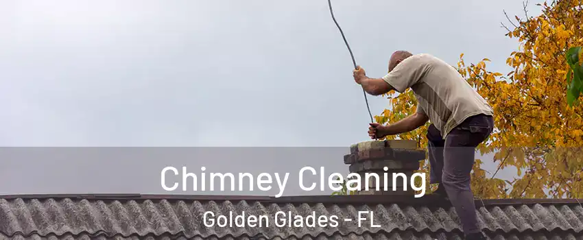  Chimney Cleaning Golden Glades - FL