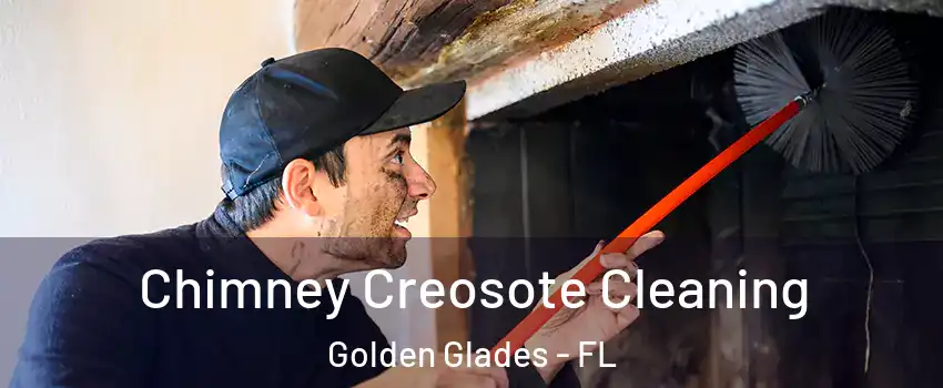  Chimney Creosote Cleaning Golden Glades - FL