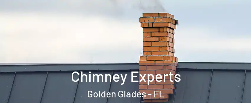 Chimney Experts Golden Glades - FL