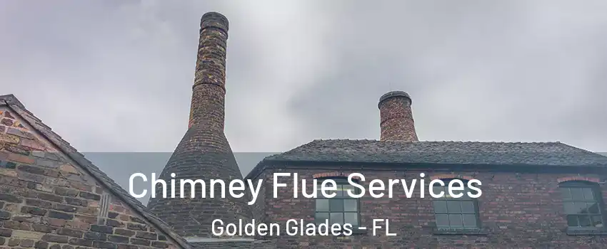  Chimney Flue Services Golden Glades - FL