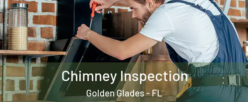  Chimney Inspection Golden Glades - FL