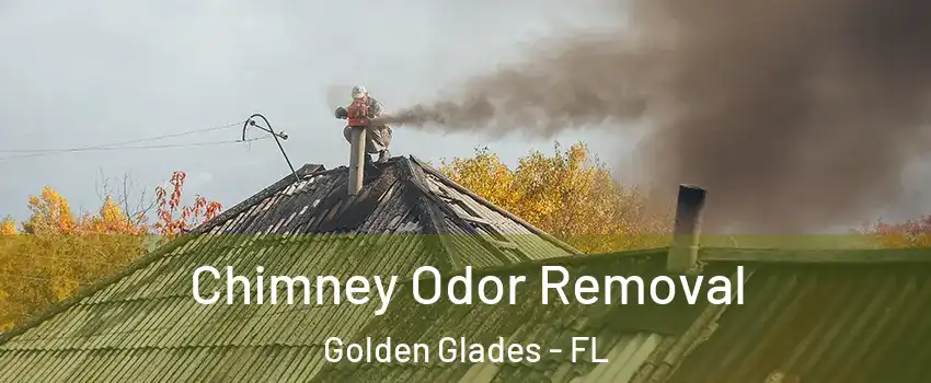  Chimney Odor Removal Golden Glades - FL