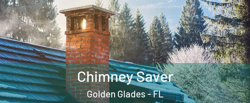  Chimney Saver Golden Glades - FL
