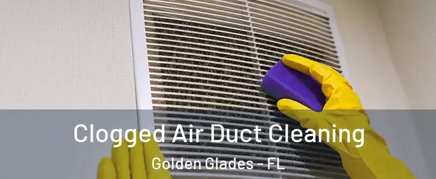  Clogged Air Duct Cleaning Golden Glades - FL