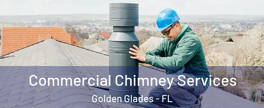  Commercial Chimney Services Golden Glades - FL