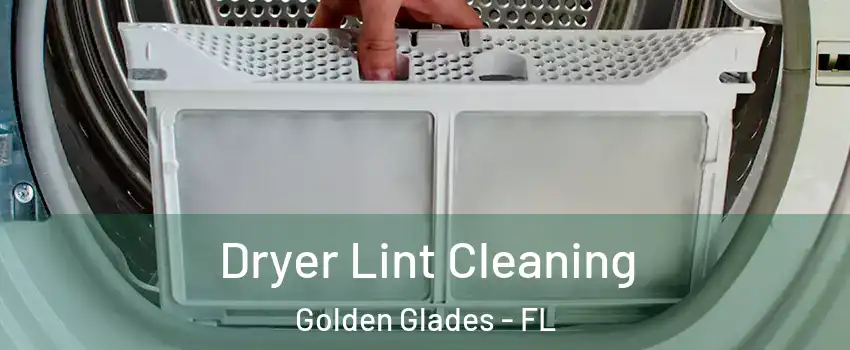  Dryer Lint Cleaning Golden Glades - FL
