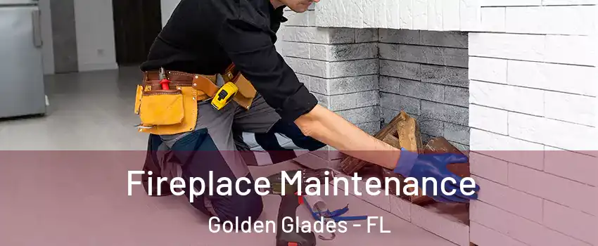  Fireplace Maintenance Golden Glades - FL