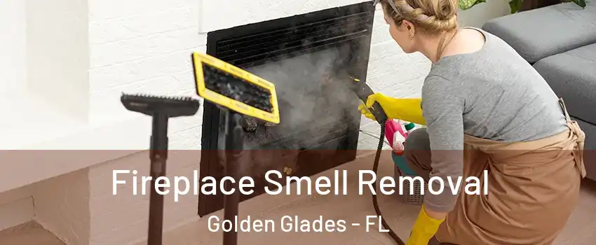  Fireplace Smell Removal Golden Glades - FL