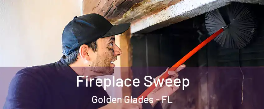  Fireplace Sweep Golden Glades - FL