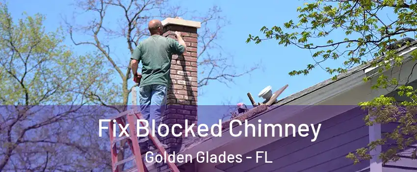  Fix Blocked Chimney Golden Glades - FL