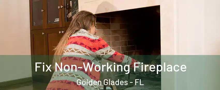  Fix Non-Working Fireplace Golden Glades - FL