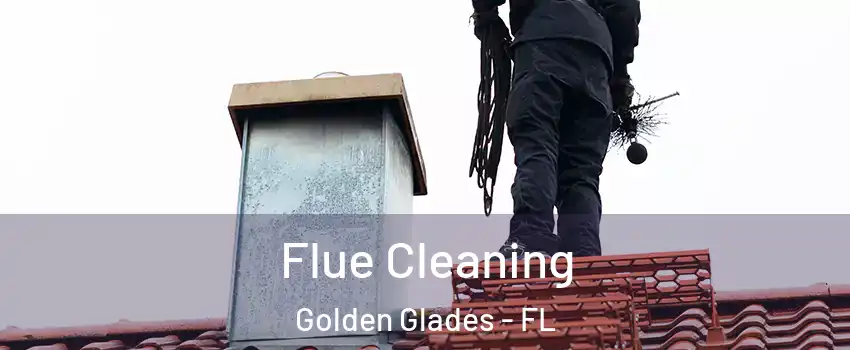  Flue Cleaning Golden Glades - FL