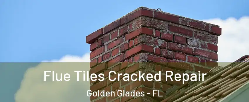  Flue Tiles Cracked Repair Golden Glades - FL