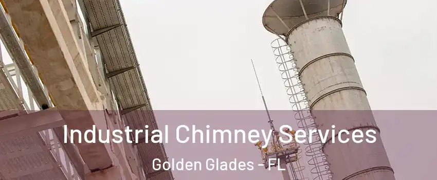  Industrial Chimney Services Golden Glades - FL