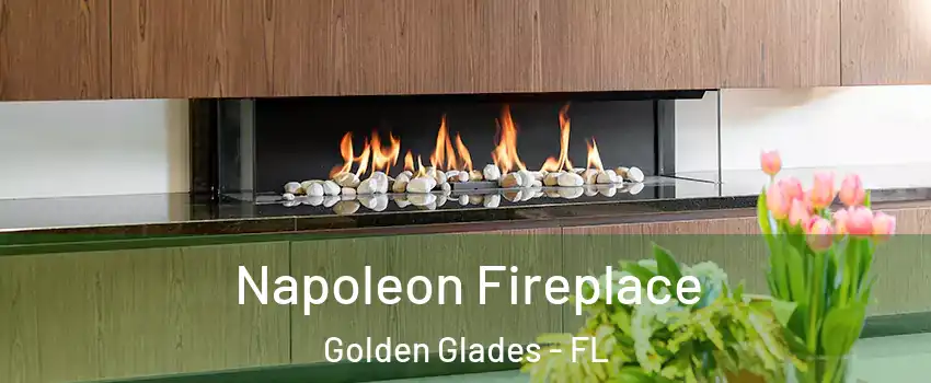  Napoleon Fireplace Golden Glades - FL