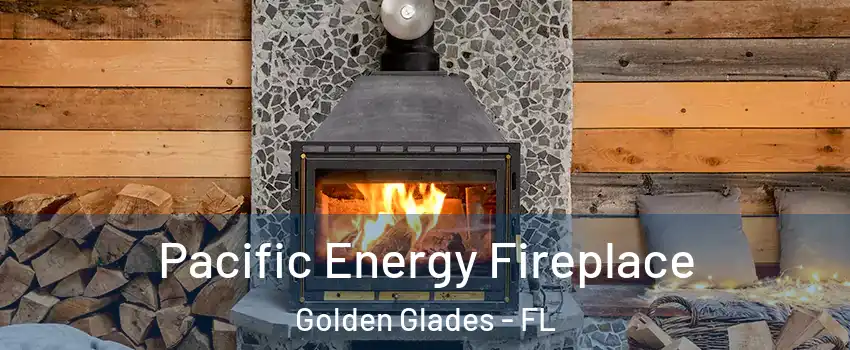  Pacific Energy Fireplace Golden Glades - FL